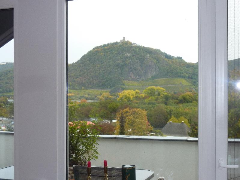 Blick auf den Drachenfels Dachgeschosswohnung Bonn