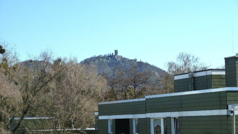 Blick auf den Drachenfels Etagenwohnung Bonn