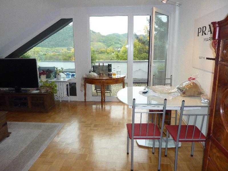 Wohnzimmer Dachgeschosswohnung Bonn