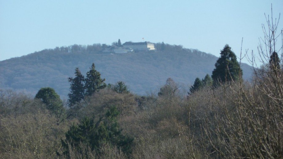 Blick vom Balkon auf den Petersberg Terrassenwohnung Bonn