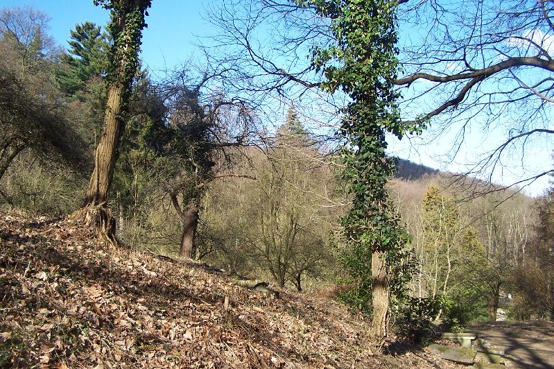 Natur pur! Wohngrundst�ck Bonn